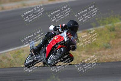 media/May-09-2022-Moto Forza (Mon) [[0226cf3505]]/Group B/B 1020am/